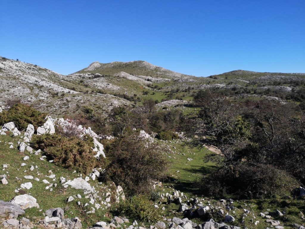 EXCURSIÓN 27 DE ENERO DE 2024 - RGCC - Real Grupo de Cultura Covadonga